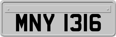 MNY1316