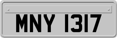 MNY1317