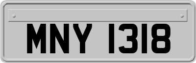 MNY1318