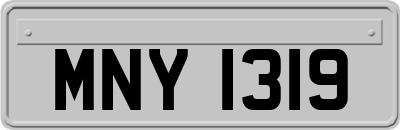 MNY1319