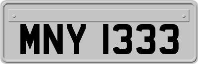 MNY1333
