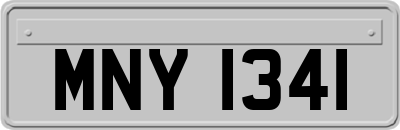 MNY1341