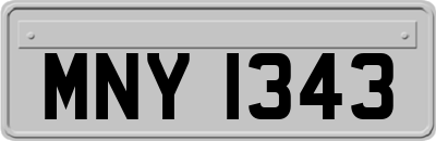 MNY1343