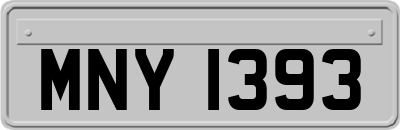 MNY1393