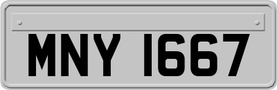 MNY1667