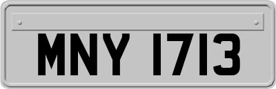 MNY1713