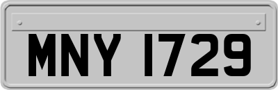 MNY1729