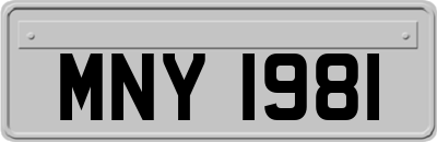 MNY1981