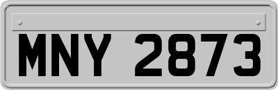 MNY2873