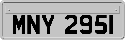 MNY2951