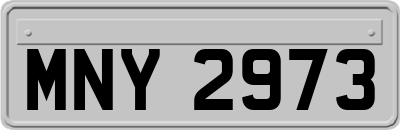 MNY2973