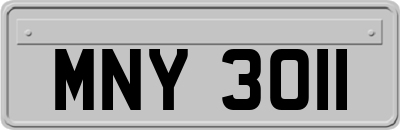 MNY3011