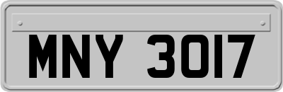 MNY3017