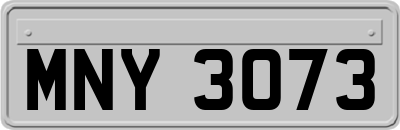 MNY3073