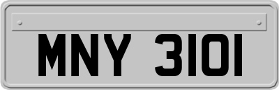 MNY3101