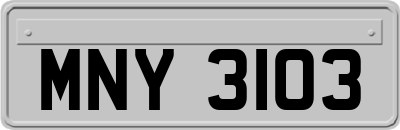 MNY3103