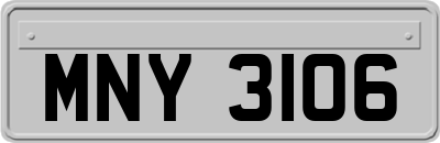 MNY3106
