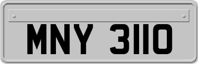 MNY3110