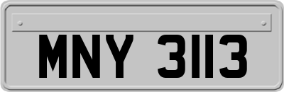 MNY3113