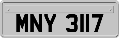 MNY3117