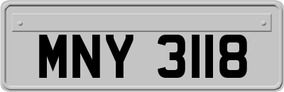 MNY3118