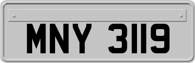MNY3119