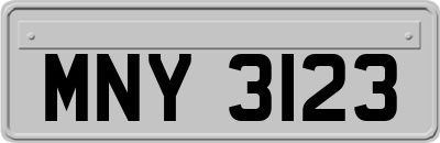 MNY3123