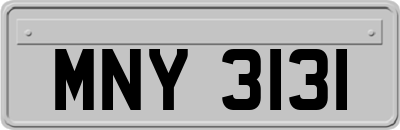 MNY3131