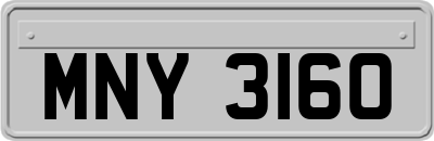 MNY3160