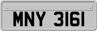 MNY3161