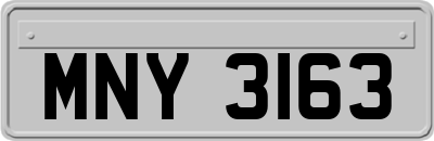 MNY3163