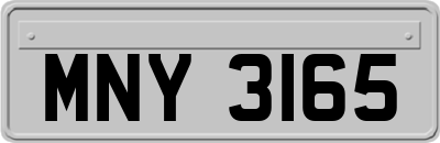 MNY3165
