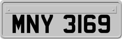 MNY3169