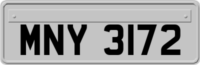 MNY3172
