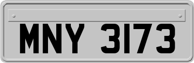 MNY3173