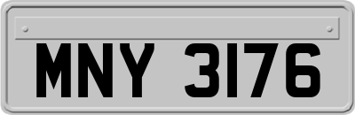 MNY3176