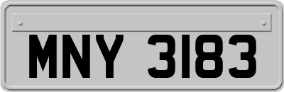 MNY3183
