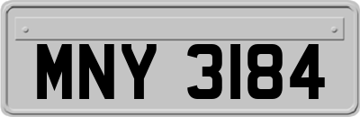 MNY3184