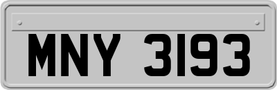 MNY3193