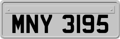 MNY3195