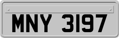 MNY3197