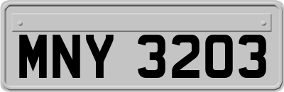 MNY3203