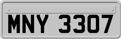MNY3307