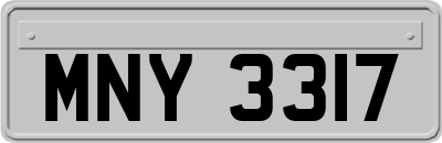 MNY3317