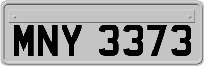 MNY3373