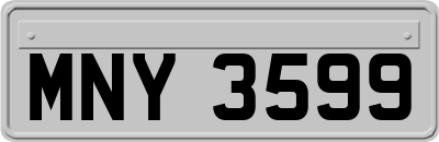 MNY3599