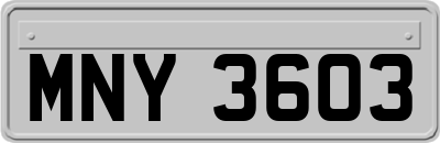 MNY3603