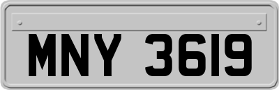 MNY3619