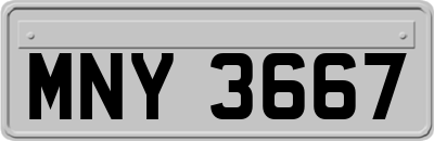 MNY3667