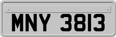 MNY3813